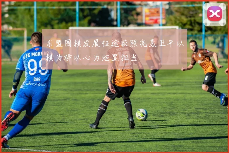 东盟围棋发展征途获照亮聂卫平以棋为桥以心为炬显担当