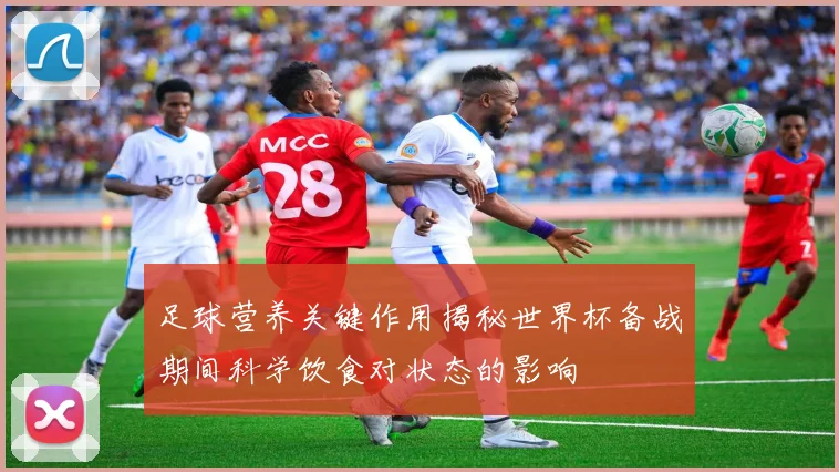 足球营养关键作用揭秘世界杯备战期间科学饮食对状态的影响