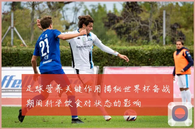 足球营养关键作用揭秘世界杯备战期间科学饮食对状态的影响